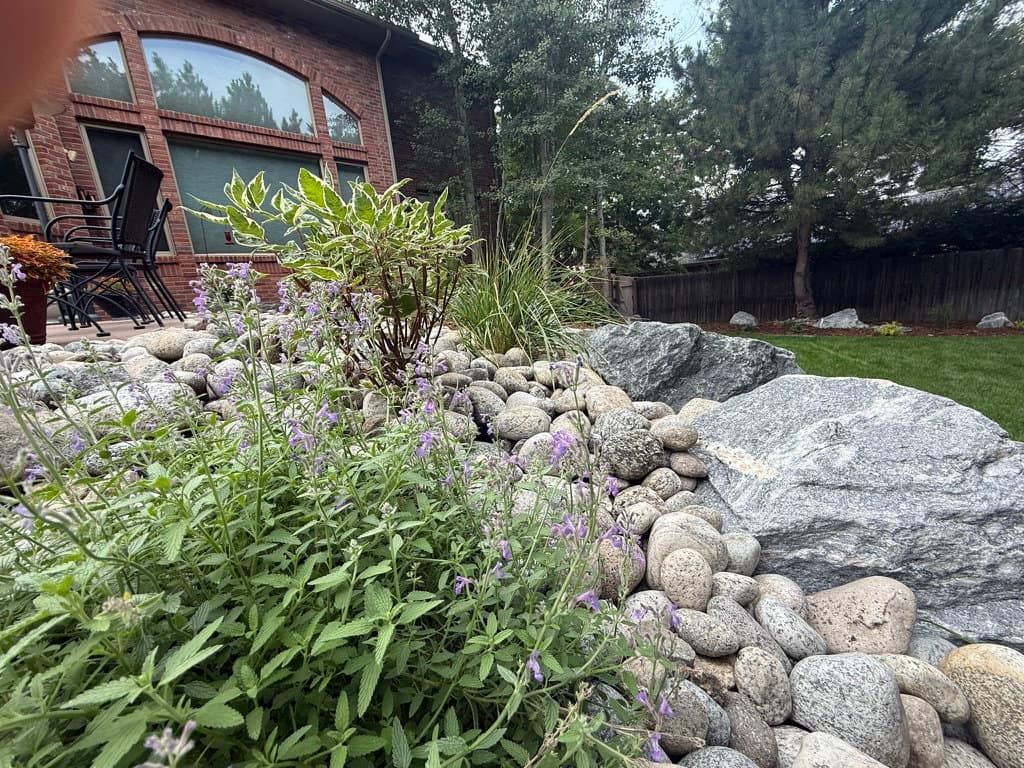 River rock and boulder bed planted with flowering perennials
